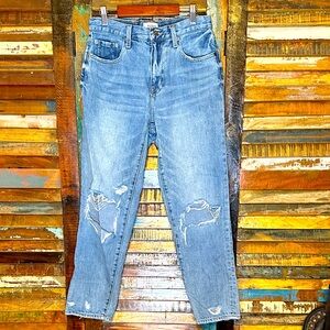 Anthropologie Pistola Light Blue Distressed Denim